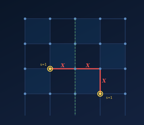 homoloQode: toric code lattice with error chain, syndromes, and logical operator